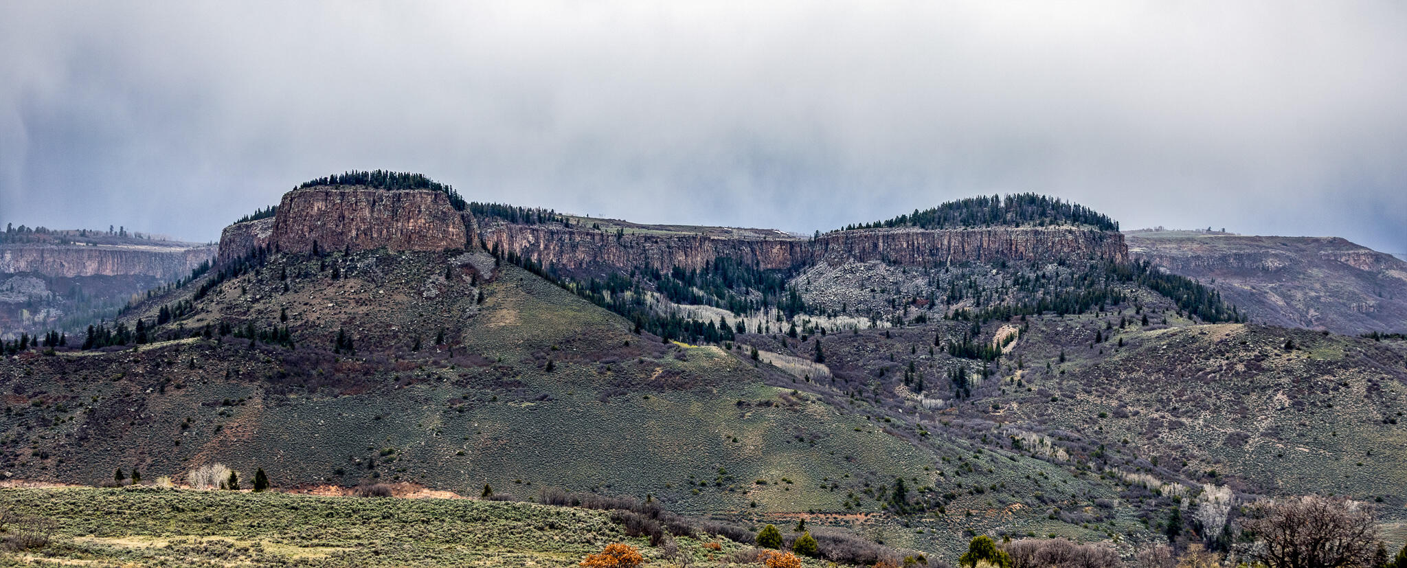 Flat-topped mesa with rugged slopes and scattered evergreen trees under cloudy light.
