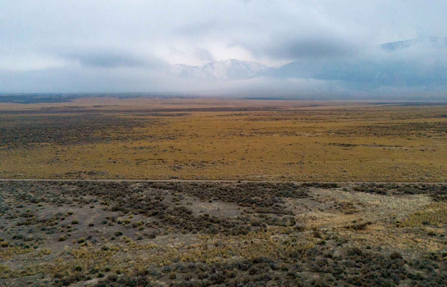 Vast golden grassland meeting a low, dark storm cloud with mountains faint in background.